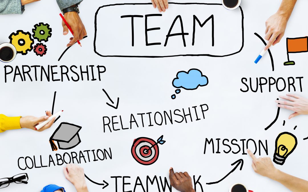 Formation : Développer l’intelligence collective de vos équipes pédagogiques grâce à la sociocratie