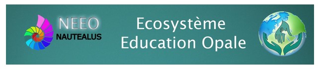 Nautealus_ecosystème